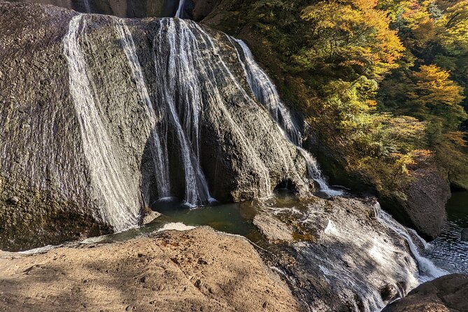 Full-Day Private Adventure in Ibaraki and Fukuroda Waterfalls - Contact and Support