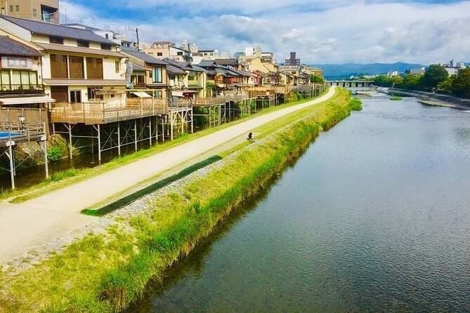 Full-Day Private Guided Tour to Kyoto City - Tour Guide Experience