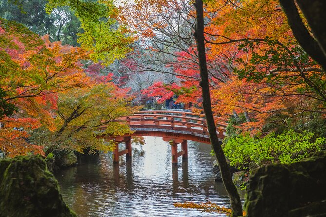 Full Day Private Nature Tour in Nikko Japan With English Guide - Payment Options and Fees