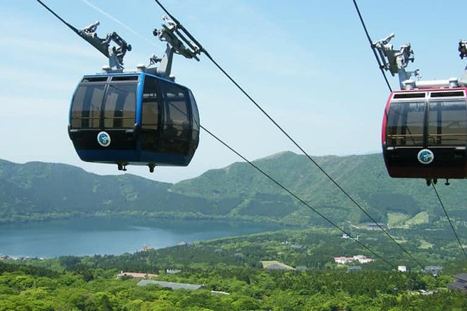 Hakone 6 Hour Private Tour With Government-Licensed Guide - Cancellation Policy