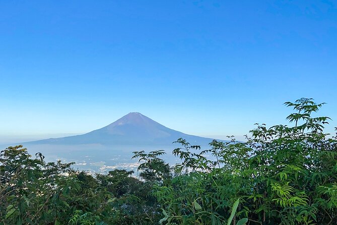 Hakone Old Tokaido Road and Volcano Full-Day Hiking Tour - Heritage Exploration