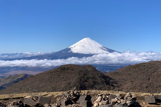 Hakone Private Two Day Tour From Tokyo With Overnight Stay in Ryokan - Cancellation Policy and Fees