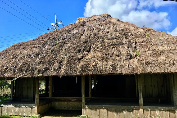 Half-Day Walking Tour to Indigenous Iriomote Village 2024 - Iriomote Island - Meeting Point