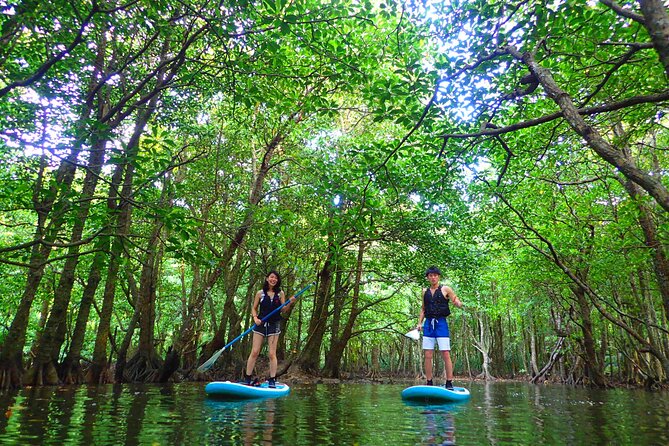 Iriomote: Canoe Tour and Sightseeing in Yubujima Island - Cancellation Policy