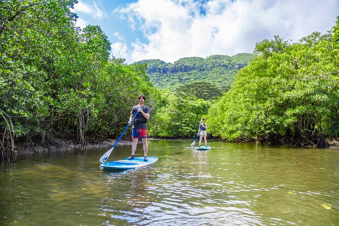 Iriomote Island, Okinawa - Canoeing Tour in a World Heritage Site - Reviews