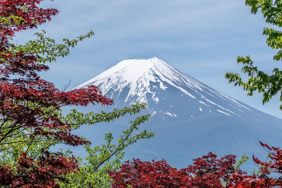 Kanto 10-Hour Chartered Day Trip｜Mt. Fuji Day Trip - Inclusions and Exclusions