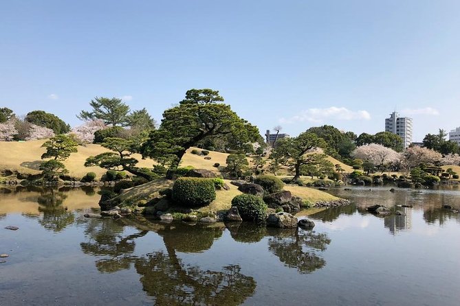 Kumamoto Half-Day Private Tour With Government-Licensed Guide - Licensed Guide Experience