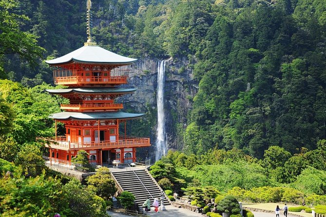 Kumano Kodo Pilgrimage Full-Day Private Trip With Government Licensed Guide - Booking and Contact Information