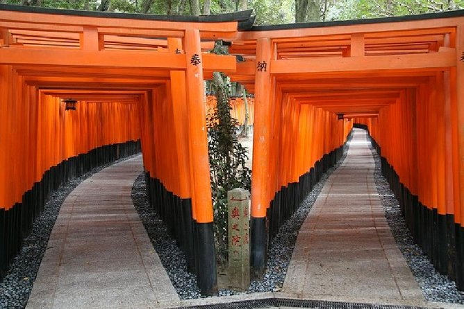 Kyoto Afternoon Tour - Fushimiinari & Kiyomizu Temple From Kyoto - Experience Expectations