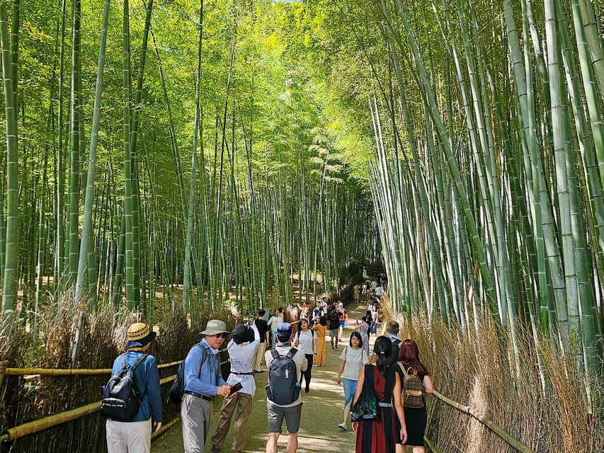 Kyoto: Arashiyama Bamboo Grove 3-Hour Guided Tour - Customer Reviews