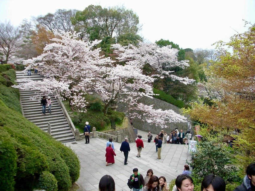 Kyoto: Higashiyama, Kiyomizudera and Yasaka Discovery Tour - Tour Restrictions