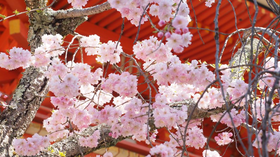 Kyoto: Ninnaji Temple Entry Ticket - Includes