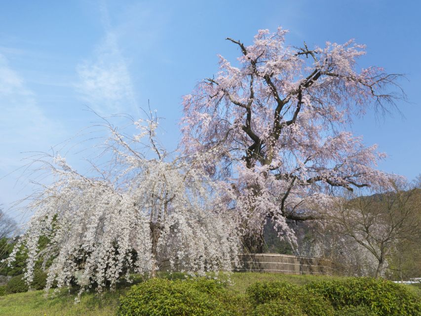 Kyoto: Private 2.5 Hour Historical Walking Tour - Inclusions