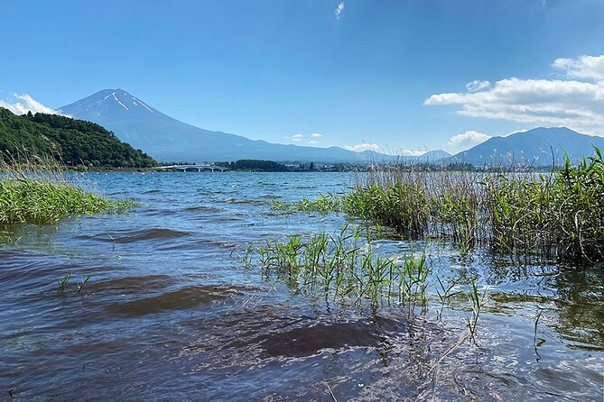 Lake Kawaguchiko Bike and Hike Tour - Reviews