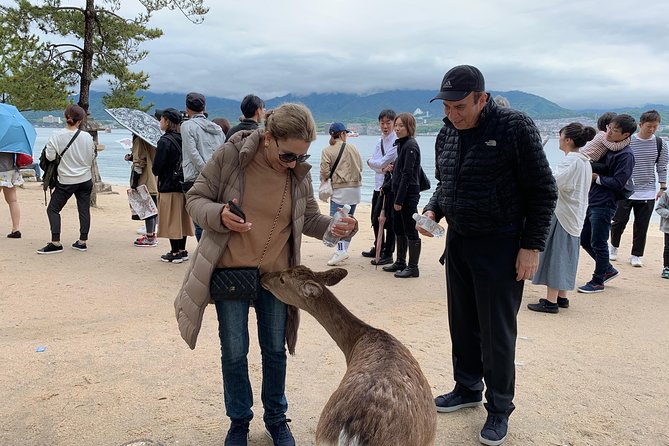 Miyajima Half-Day Private Tour With Government Licensed Guide - Booking Details