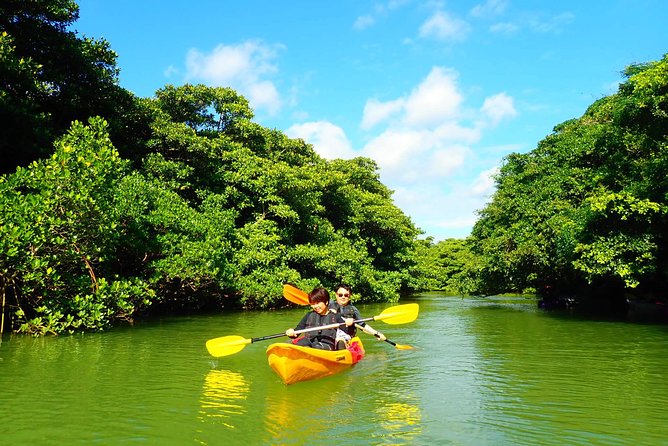 Miyara River 90-Minute Small-Group SUP or Canoe Tour 2024 - Ishigaki - Additional Tour Information