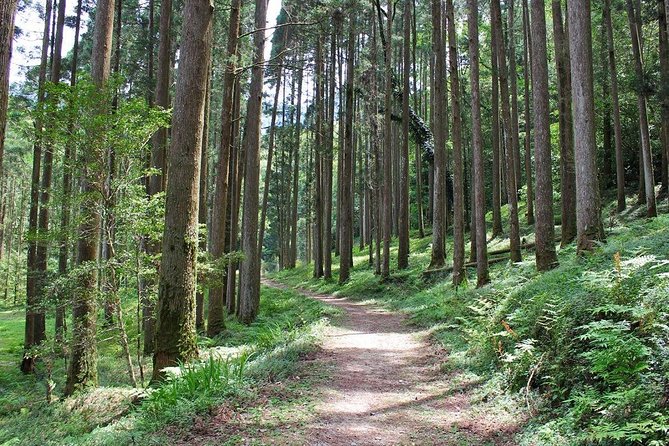 Miyazaki Valley Waterfall Hike - Sustainability Practices