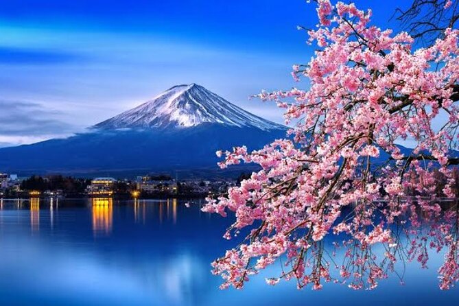 Mount Fuji and Hakone Private Tour With English Speaking Driver - Reviews and Ratings