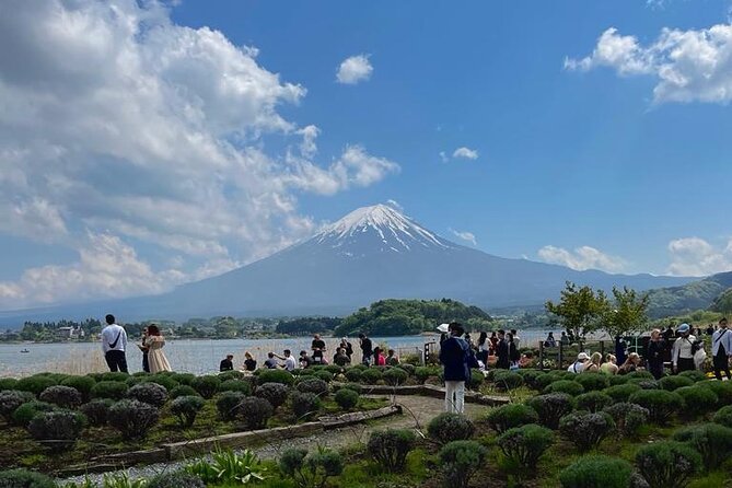 Mount Fuji Private Day Tour With English Speaking Driver - Traveler Photos and Experiences