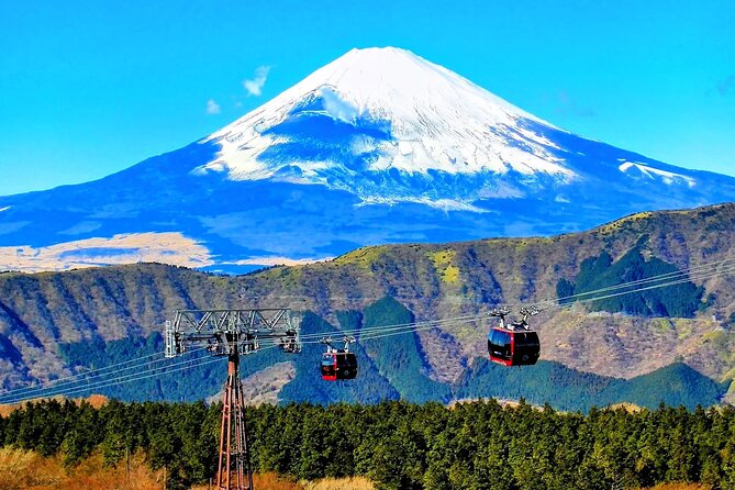 Mt Fuji and Hakone 1-Day Bus Tour Return by Bus - Booking and Logistics