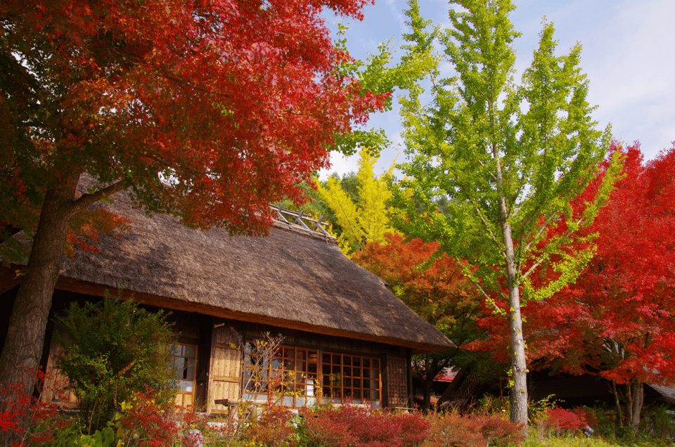 Mt.Fuji and Hakone Tour - Common questions