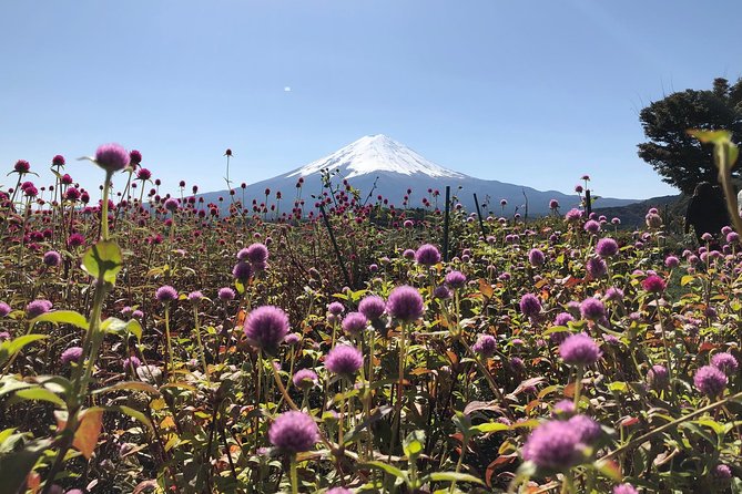 Mt Fuji Day Tour With Kawaguchiko Lake and Fifth Station - Copyright and Legal Information