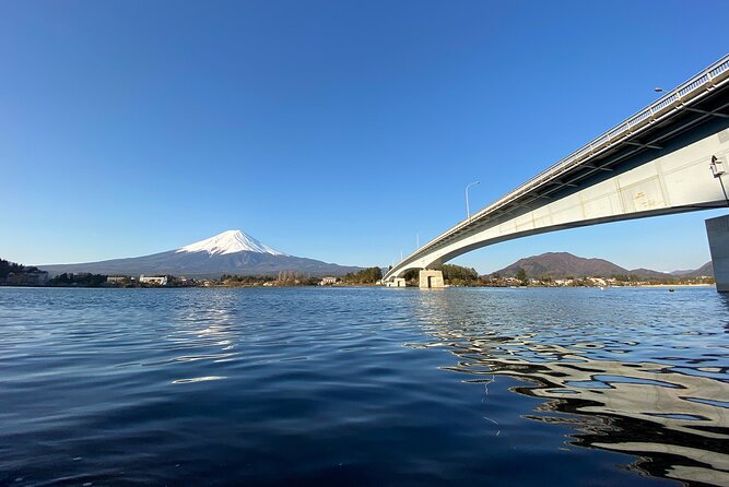 Mt Fuji Full-Day Tour By Car - What to Expect