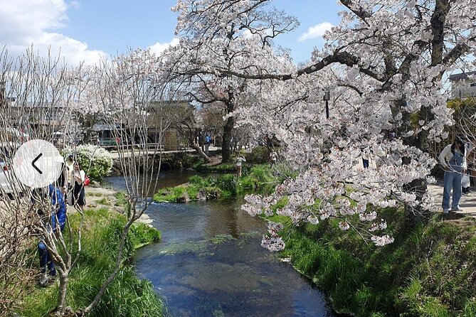 Mt. Fuji, Hakone Full-Day Private Tour With English Driver Guide - Stunning Scenery and Driver Praise