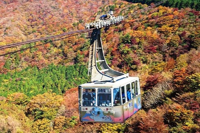 Mt Fuji, Hakone, Lake Ashi Cruise 1 Day Bus Trip From Tokyo - Inclusions