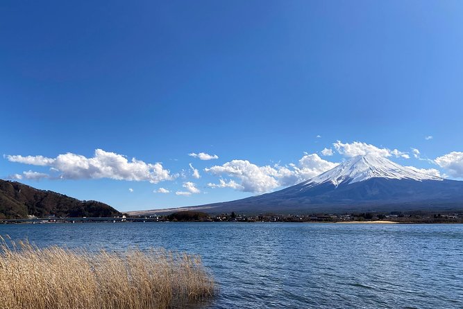 Mt Fuji Half-Day Tour By Car - Inclusions in the Tour