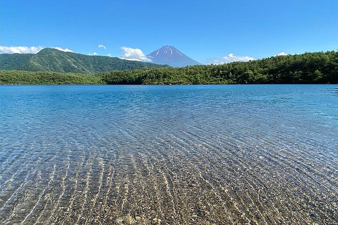 Mt Fuji Lakeshores Full-Day Bike Tour - Private Tour and Group Size