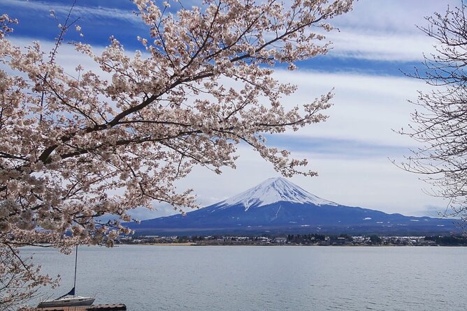 Mt. Fuji Private Tour With English Speaking Driver - Tour Highlights and Customer Experience