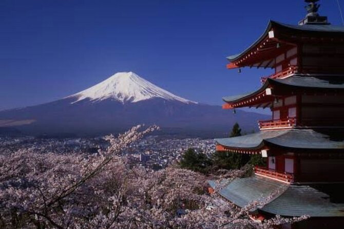 Mt Fuji Private Tour With English Speaking Driver - Drivers Role and Flexibility