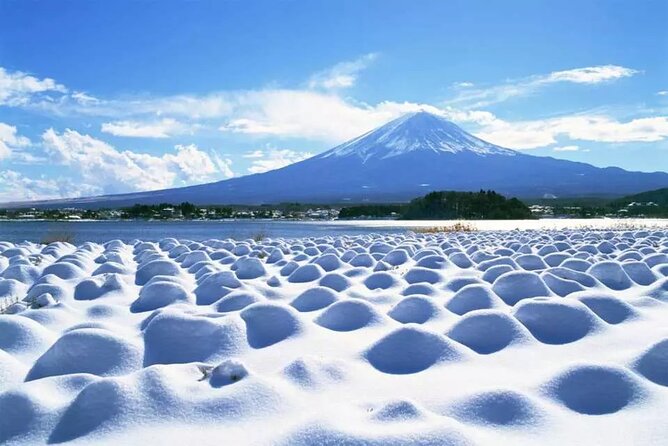 Mt.Fuji Tour: 3-Parks & The Healing Village in Fujiyoshida, Japan - Directions