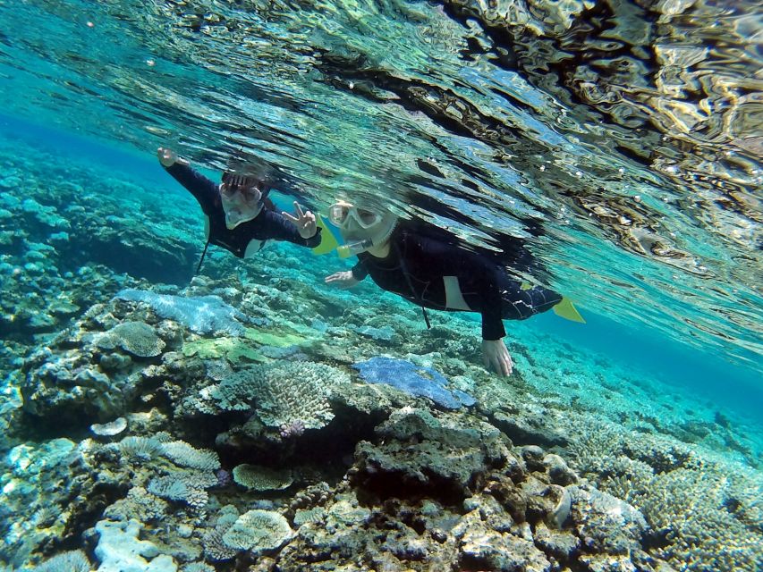 Naha, Okinawa: Keramas Island Snorkeling Day Trip With Lunch - Customer Reviews