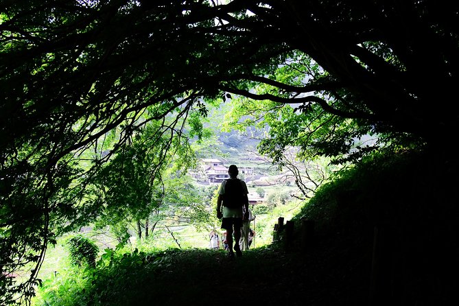 Nakasendo Self-Guided Walking Tour 2 Days - Review Ratings