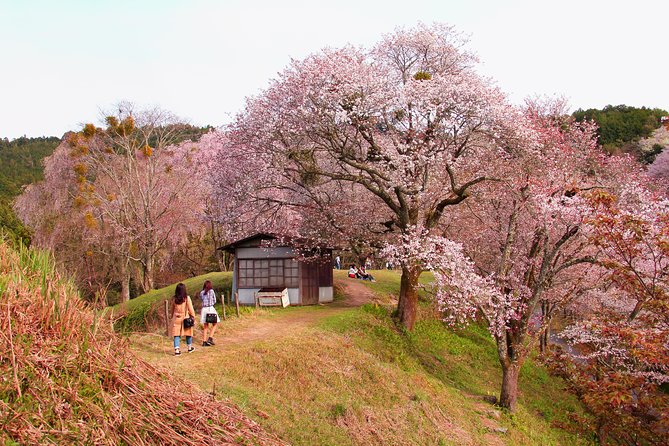 Nara Day Trip From Kyoto With a Local: Private & Personalized - Flexible Meeting Point Options