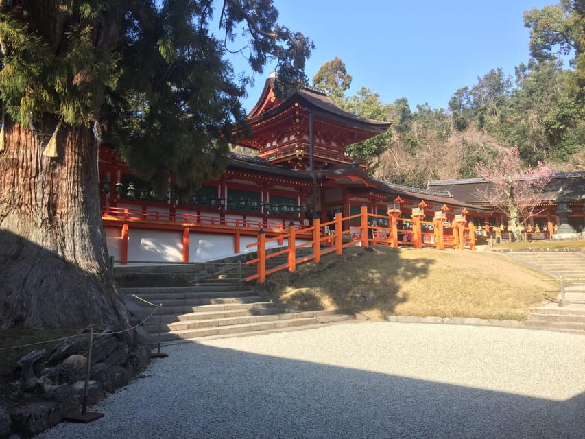 Nara: Half-Day Private Guided Tour - Booking Process