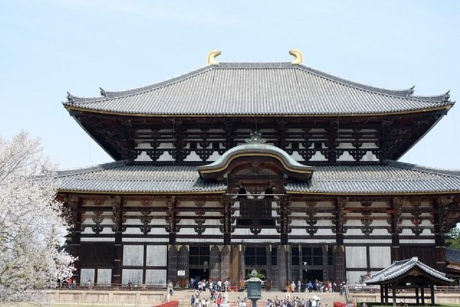 Nara Private Tour by Public Transportation From Kyoto - Guide Qualifications and Language Proficiency