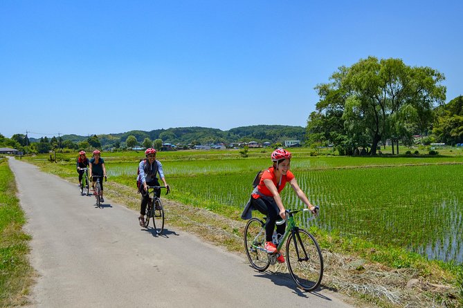 Nasu: Private Bike Tour and Farm Experience 2024 - Nasu-machi - Leisurely Rice Field Ride