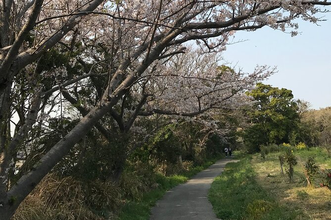 Nature Observation, Tumulus, Arts, Kobo Trails Tour of Sakushima - Art and Culture Stops