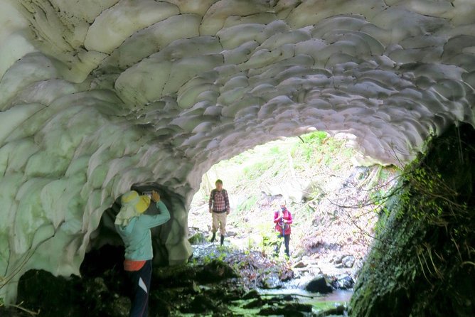 Nature Tour Around Waterfalls That Flow From the Beech Forest in Nishiwaga Town, Iwate Prefecture - Medical Conditions