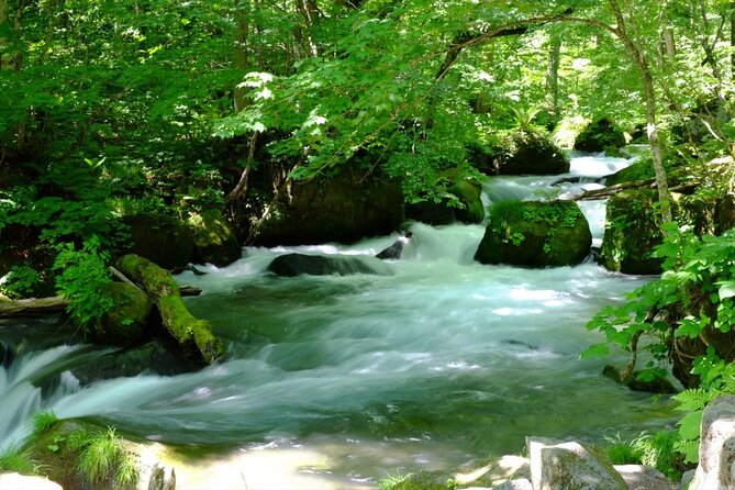 Oirase Gorge and Lake Towada Day Hike With Government-Licensed Guide - Itinerary and Highlights