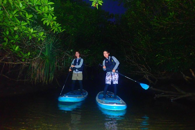 Okinawa Iriomote Night SUP/Canoe Tour in Iriomote Island - Cancellation Policy Details