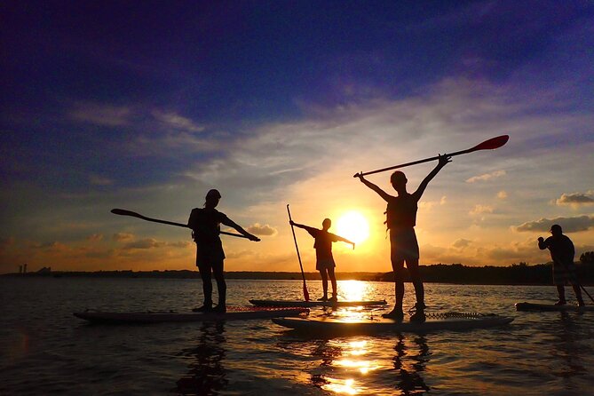 [Okinawa Iriomote] Sunset SUP/Canoe Tour in Iriomote Island - Questions?