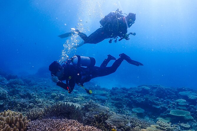 Okinawa Scuba Diving for Certified Divers (3 Boat Dives Lunch) - Safety Briefing Procedures