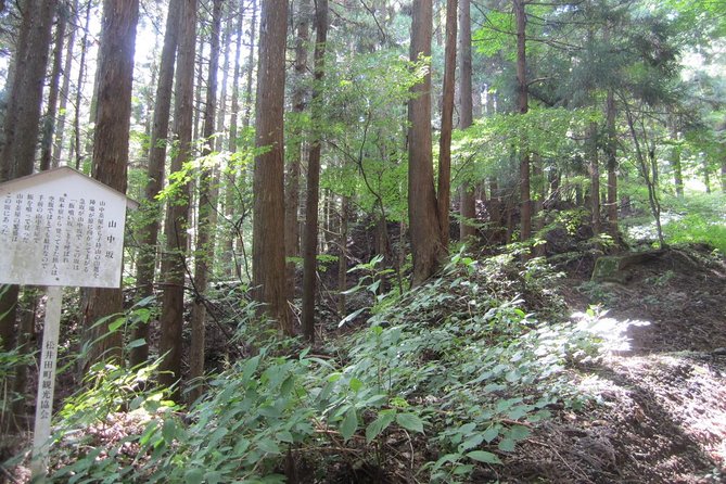 Old Nakasendo Trekking From Karuizawa-Beyond Sugahi Pass to Sakamoto Hotel - Trekking Route Overview