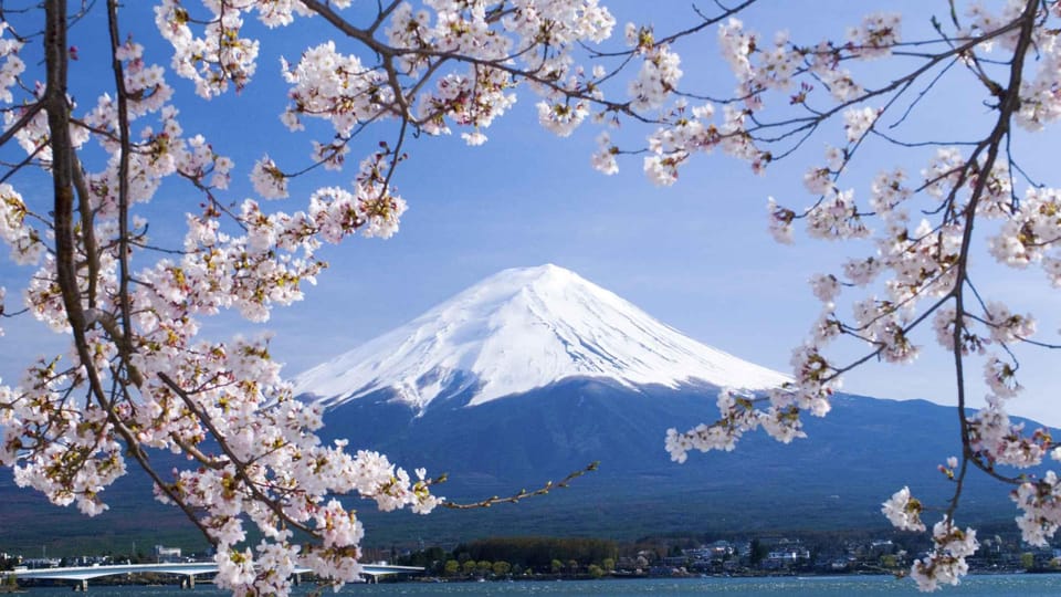 One Day Private Tour to Mt Fuji & Hakone With English Driver - Inclusions