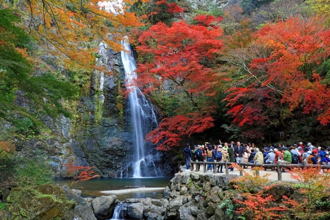 Osaka Nature Walking Tour - Minoh Hidden Beauty - Scenic Hiking Trails