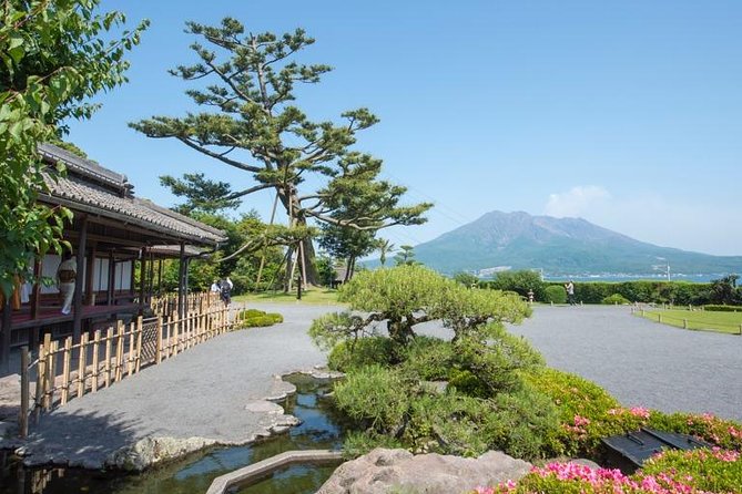 Port Pick-Up: Kagoshima Private Tour Licensed Guide & Vehicle - Customizable Itinerary